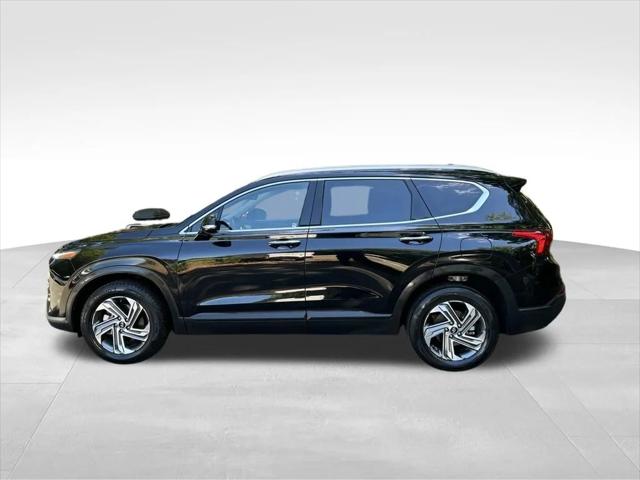 2023 Hyundai Santa Fe SEL 2023 Hyundai Santa Fe SEL
