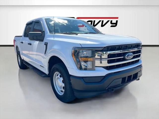 2023 Ford F-150 XL for sale in Windsor, CO