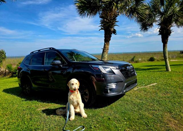 2022 Subaru Forester Limited for sale in Myrtle Beach, SC