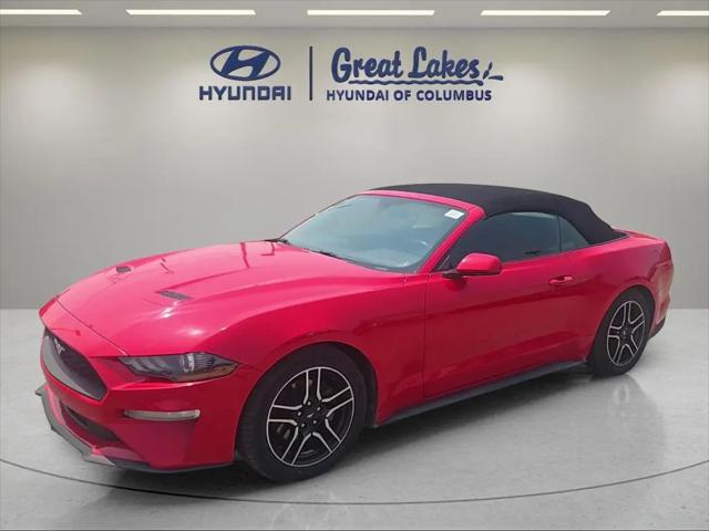 2019 Ford Mustang EcoBoost for sale near Columbus, OH
