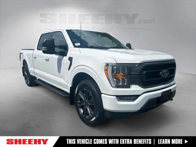 2023 Ford F-150 XLT for sale in Ashland, VA
