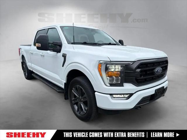 2023 Ford F-150 XLT for sale in Ashland, VA
