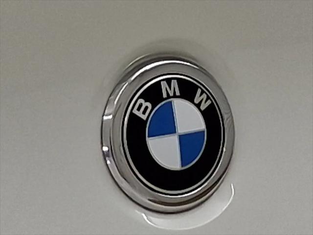 2024 BMW X4 M Standard