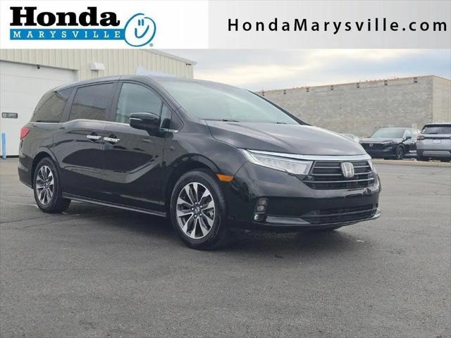 2024 Honda Odyssey EX-L for sale in Marysville, OH