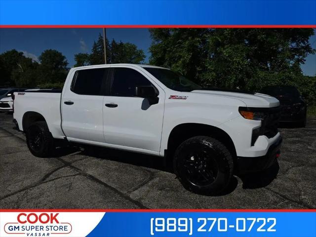 2024 Chevrolet Silverado 1500 4WD Crew Cab Short Bed Custom Trail Boss for sale in Vassar, MI