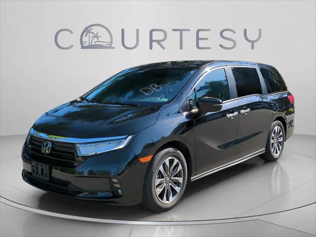 2024 Honda Odyssey EX-L for sale in Palm Harbor, FL