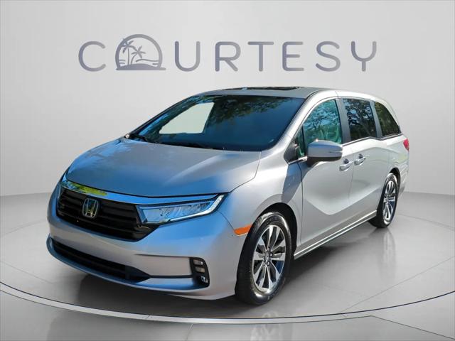 2024 Honda Odyssey EX-L for sale in Palm Harbor, FL