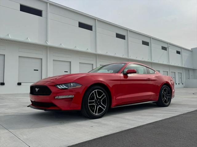 2022 Ford Mustang EcoBoost Premium Fastback for sale in Miami, FL