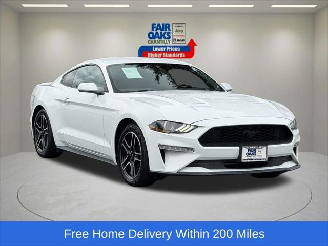 2019 Ford Mustang EcoBoost 2019 Ford Mustang EcoBoost