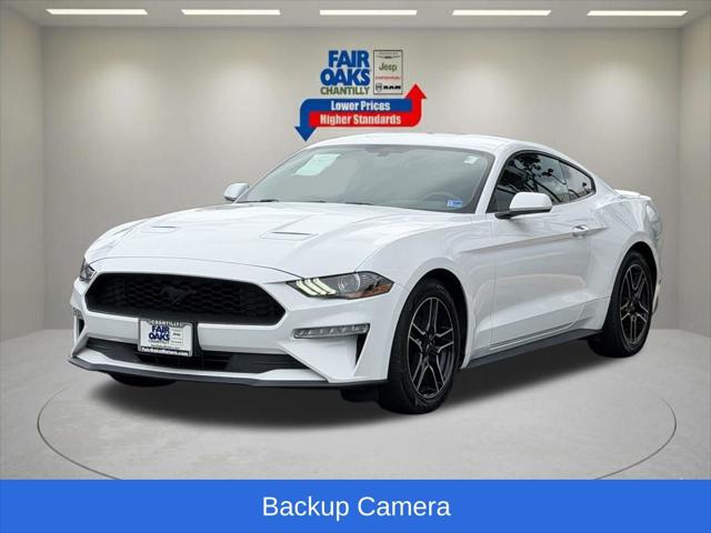 2019 Ford Mustang EcoBoost 2019 Ford Mustang EcoBoost