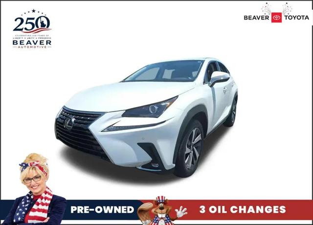 2018 Lexus NX 300 Base for sale in Augustine, FL