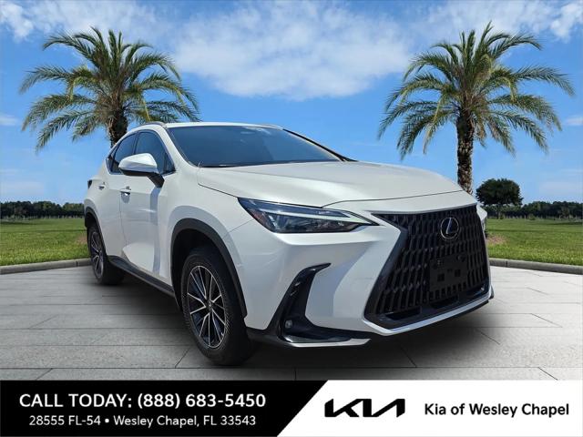 2024 Lexus NX 350 NX 350 for sale in Wesley Chapel, FL