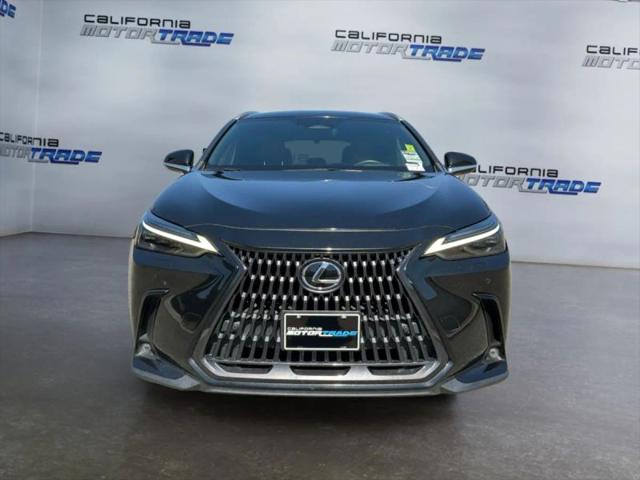 2023 Lexus NX 350h Luxury