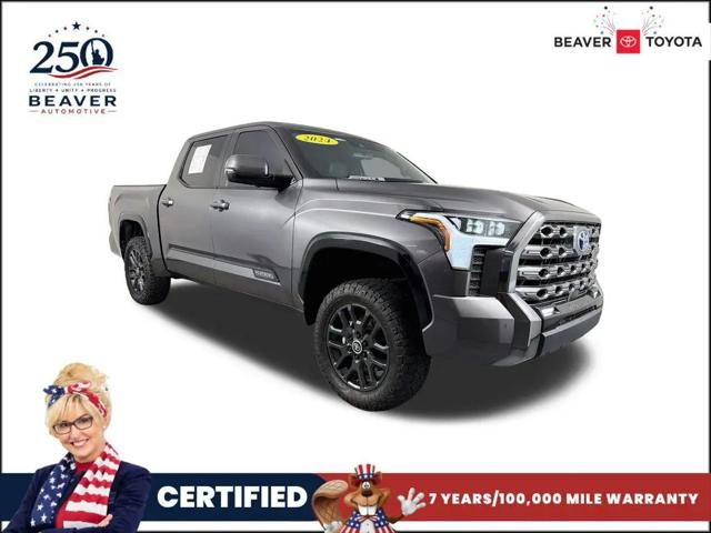 2024 Toyota Tundra Platinum 4WD for sale in Augustine, FL