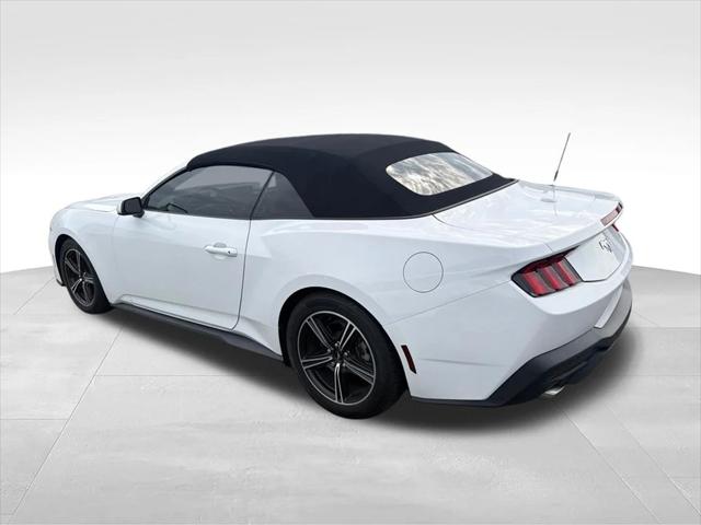 2024 Ford Mustang EcoBoost Convertible 2024 Ford Mustang EcoBoost Convertible