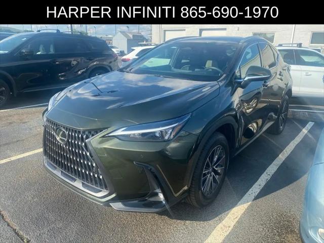 2024 Lexus NX Premium for sale in Knoxville, TN