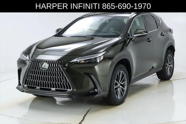 2024 Lexus NX Premium for sale in Knoxville, TN