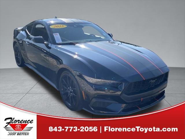 2025 Ford Mustang EcoBoost Fastback for sale in Florence, SC