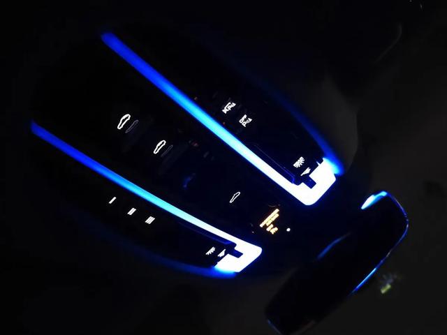 2023 Porsche Panamera 4 Platinum Edition