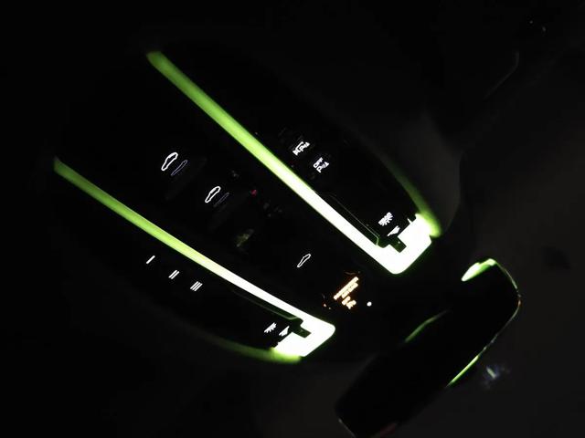 2023 Porsche Panamera 4 Platinum Edition