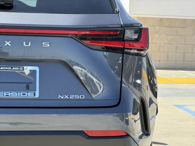 2024 Lexus NX NX 250