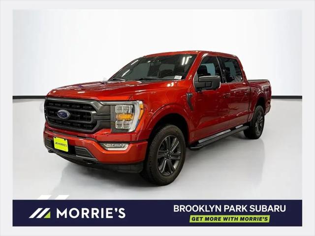 2023 Ford F-150 XLT for sale in Brooklyn Park, MN