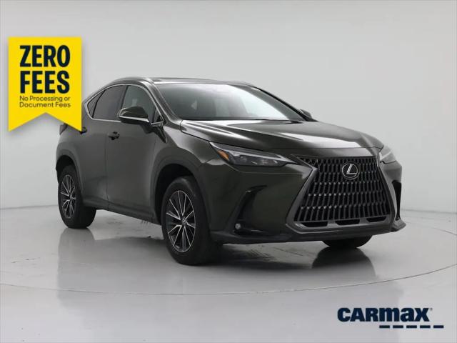 2024 Lexus NX Premium for sale in Tampa, FL