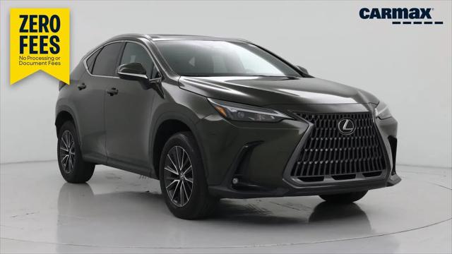 2024 Lexus NX Premium for sale in Tampa, FL