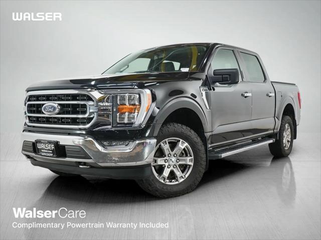 2021 Ford F-150 XLT for sale in Brooklyn Park, MN
