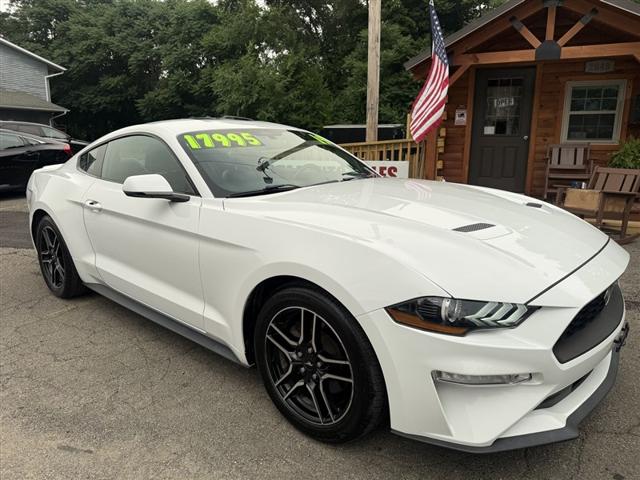 2019 Ford Mustang EcoBoost for sale in Horseheads, NY