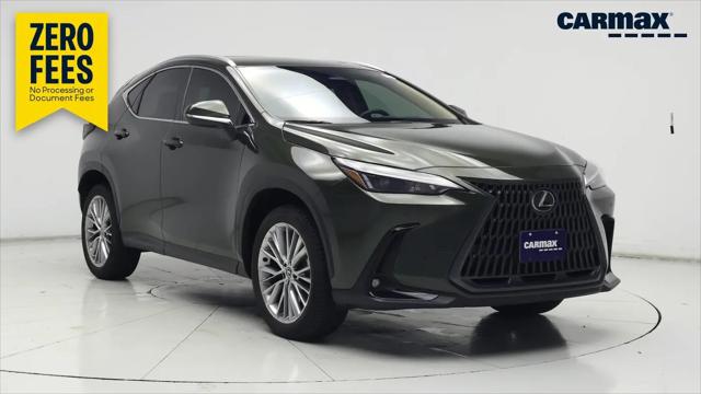 2025 Lexus NX 350 Premium for sale in Conroe, TX