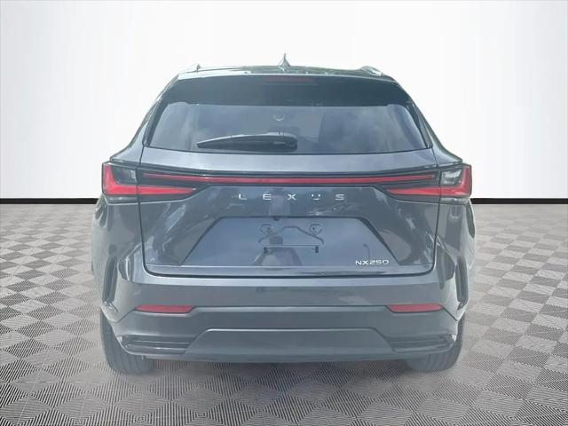 2024 Lexus NX NX 250