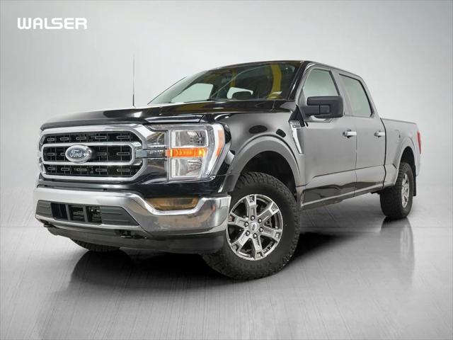 2023 Ford F-150 XLT for sale in Coon Rapids, MN