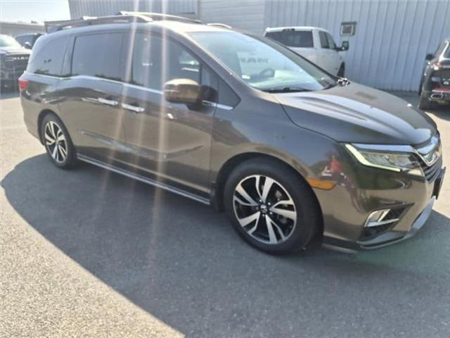 2019 Honda Odyssey Elite 2019 Honda Odyssey Elite