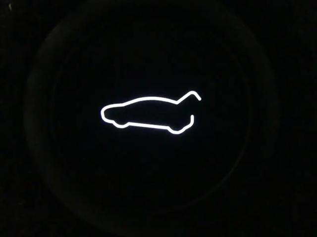 2024 Tesla Model 3 Standard
