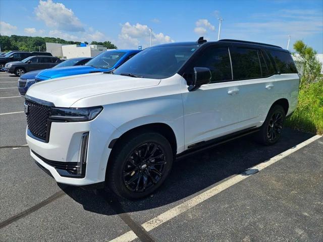 2023 Cadillac Escalade 4WD Sport for sale in Jackson, MI