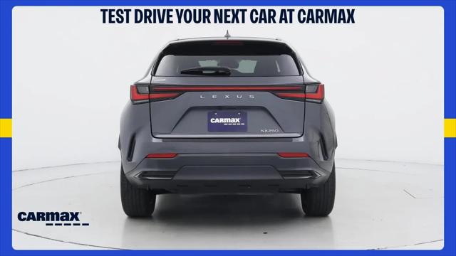 2024 Lexus NX NX 250