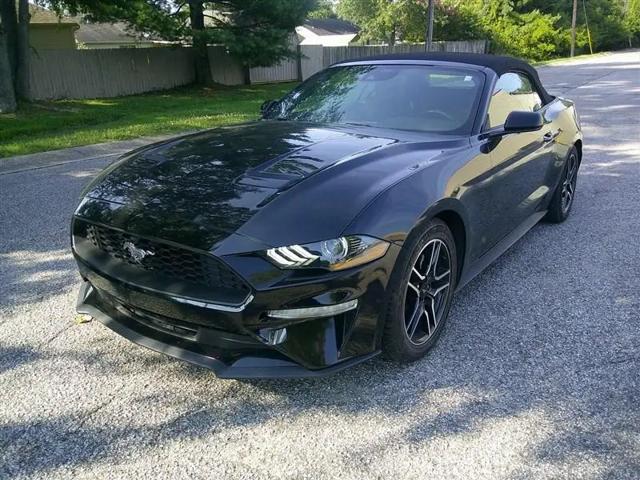 2023 Ford Mustang EcoBoost Premium Convertible for sale in Henderson, KY