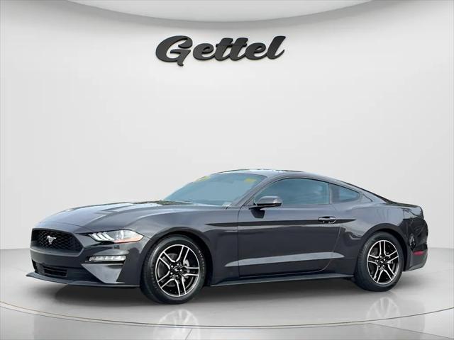 2022 Ford Mustang EcoBoost Fastback for sale in Ocala, FL
