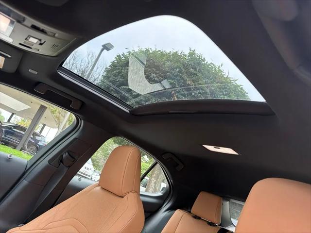 2025 Lexus 300 Premium
