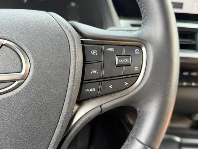 2025 Lexus 300 Premium