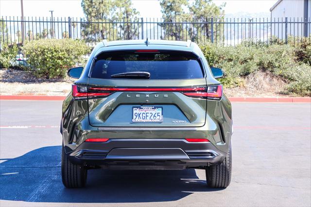 2024 Lexus NX 250 Base