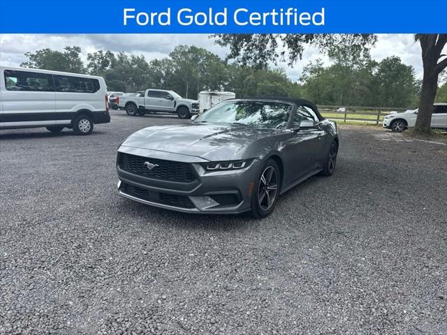 2024 Ford Mustang EcoBoost Premium Convertible for sale in Starke, FL