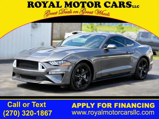 2021 Ford Mustang GT Fastback for sale in Bowling Green, KY