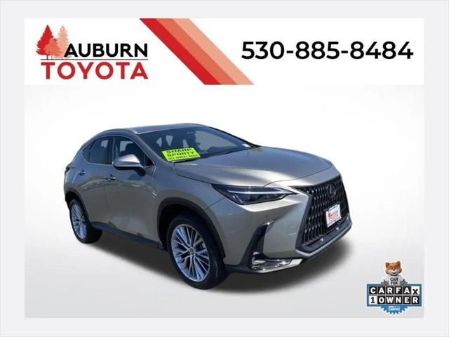 2023 Lexus NX 350 Premium for sale in Auburn, CA