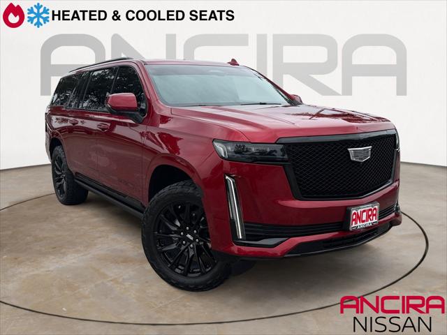 2024 Cadillac Escalade ESV 4WD Sport for sale in San Antonio, TX