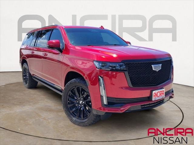 2024 Cadillac Escalade ESV 4WD Sport for sale in San Antonio, TX