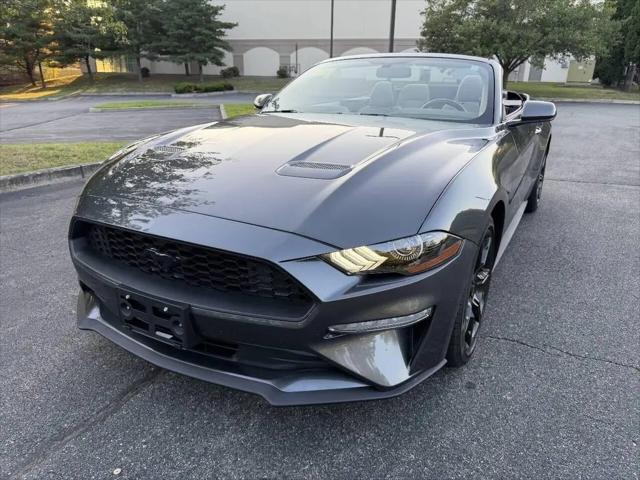 2019 Ford Mustang EcoBoost for sale in Dedham, MA