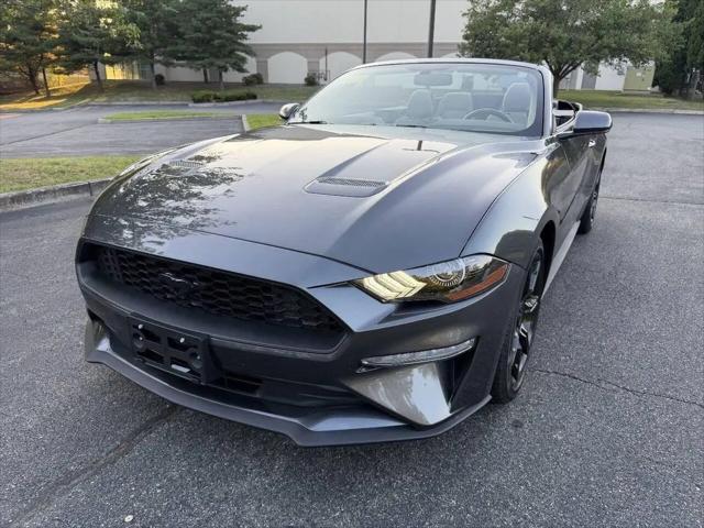 2019 Ford Mustang EcoBoost for sale in Dedham, MA