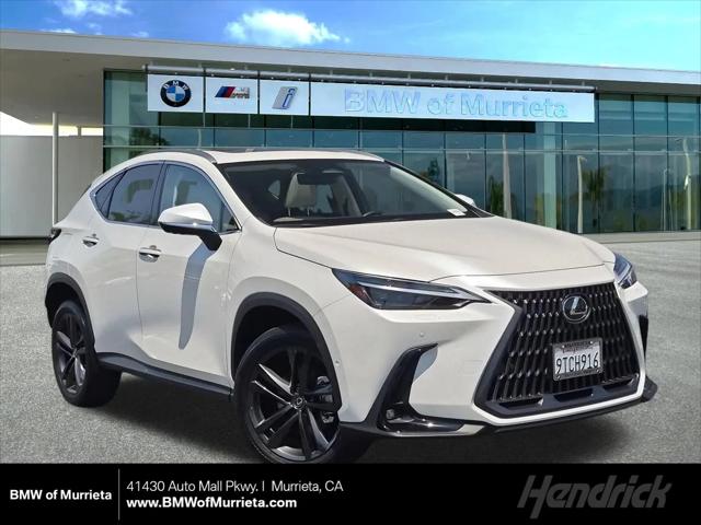 2025 Lexus NX Luxury for sale in Murrieta, CA